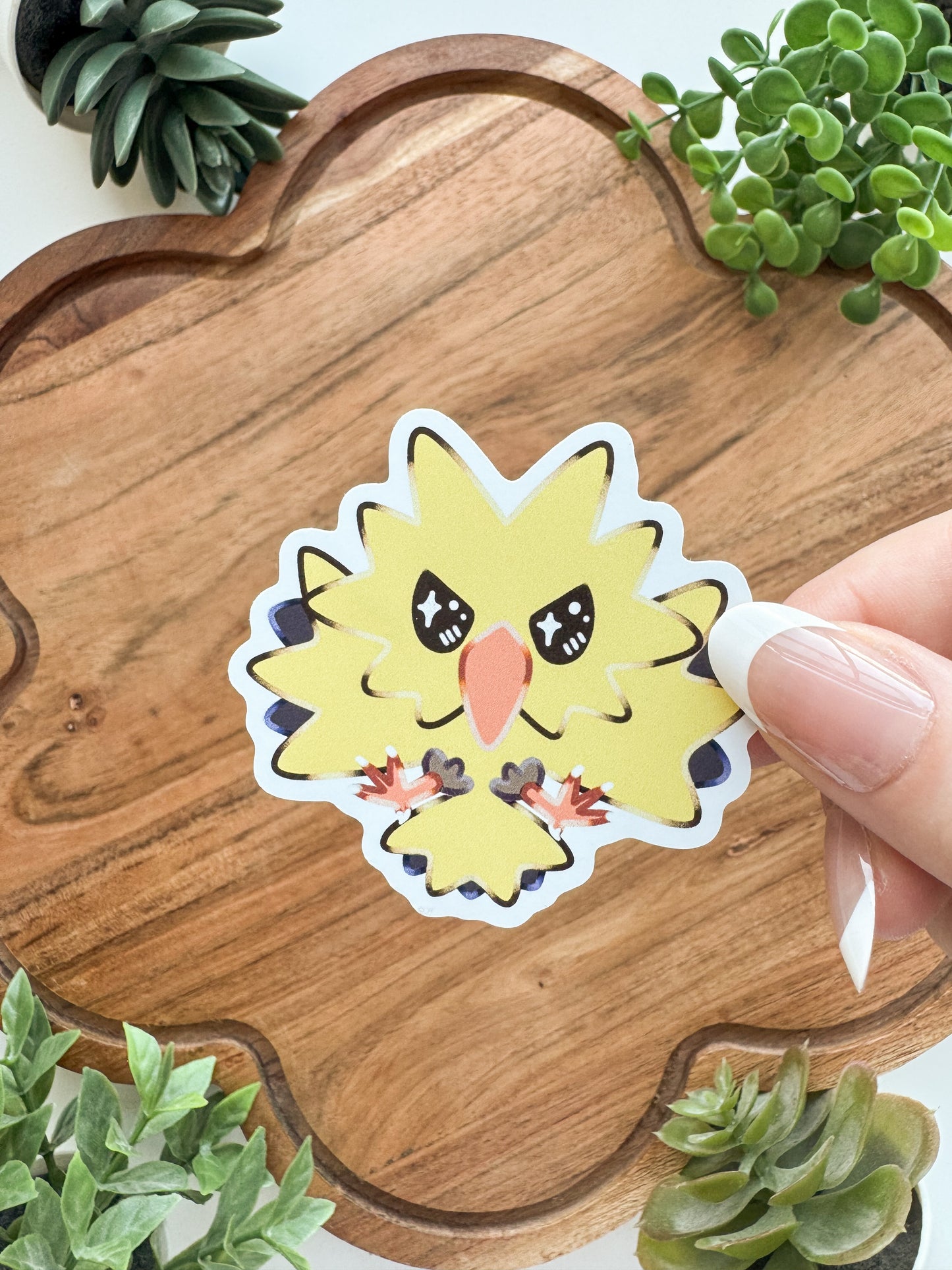 Startpokemon • [Pin]