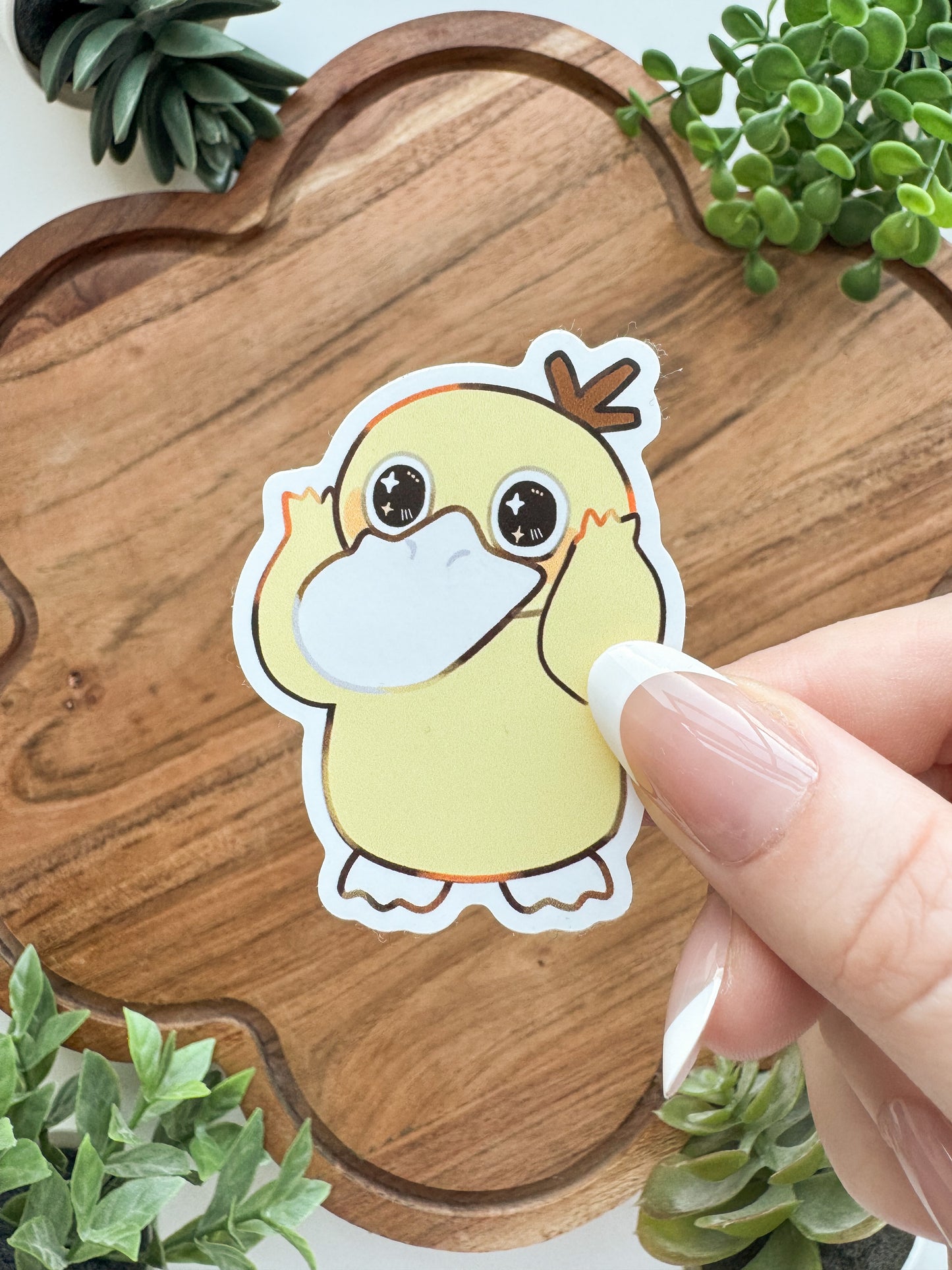 Startpokemon • [Pin]