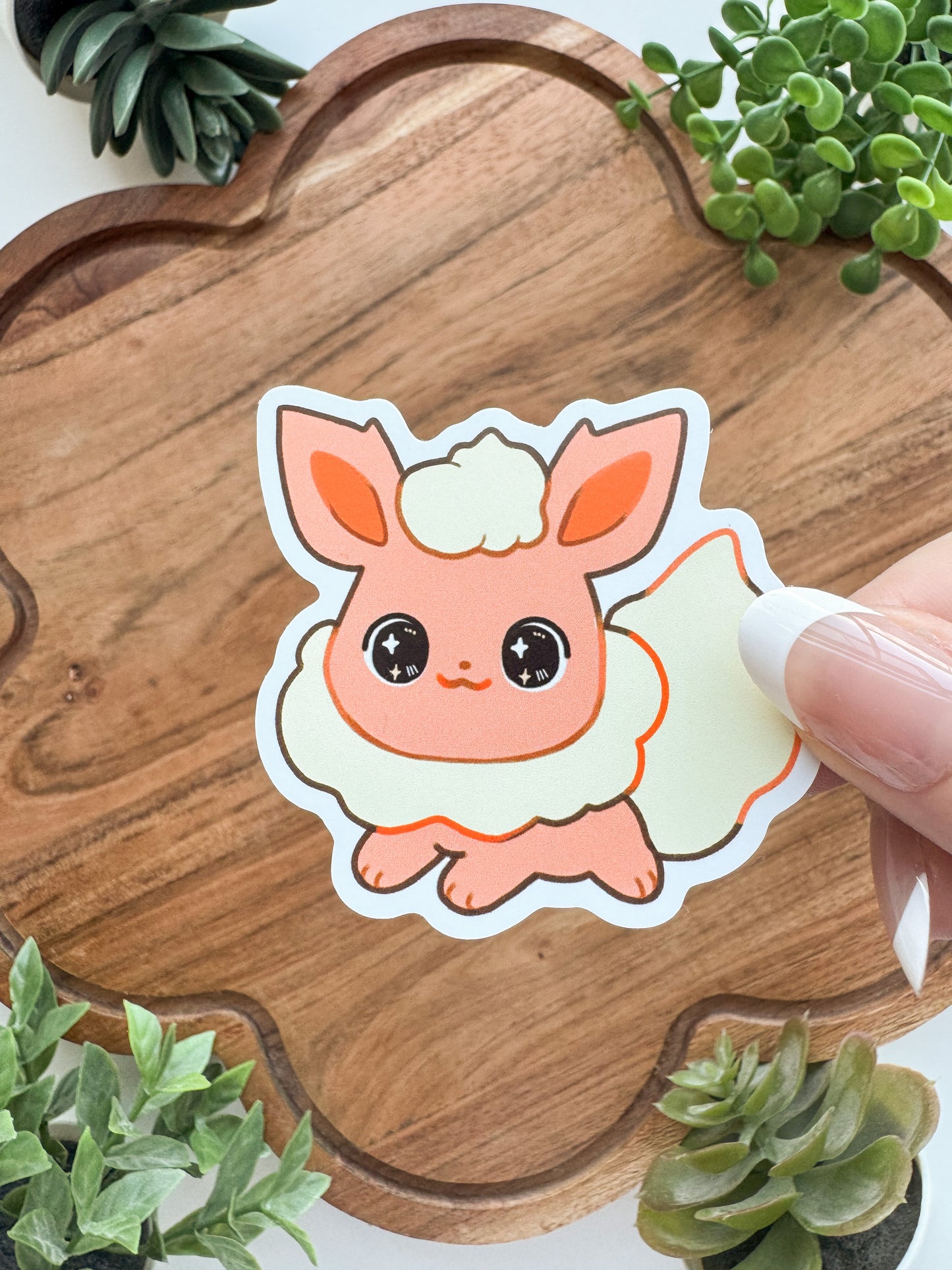 Startpokemon • [Pin]