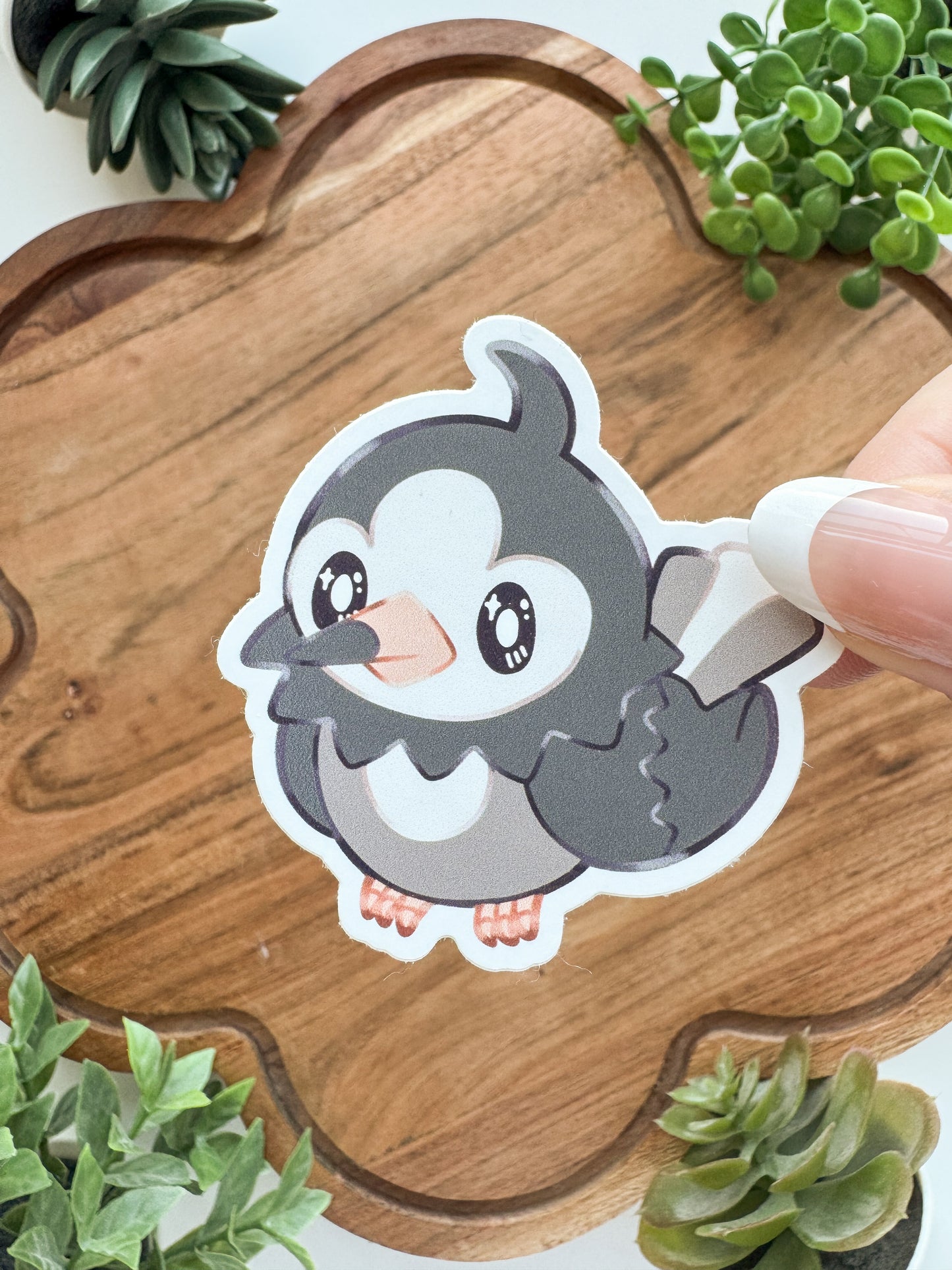 Startpokemon • [Pin]