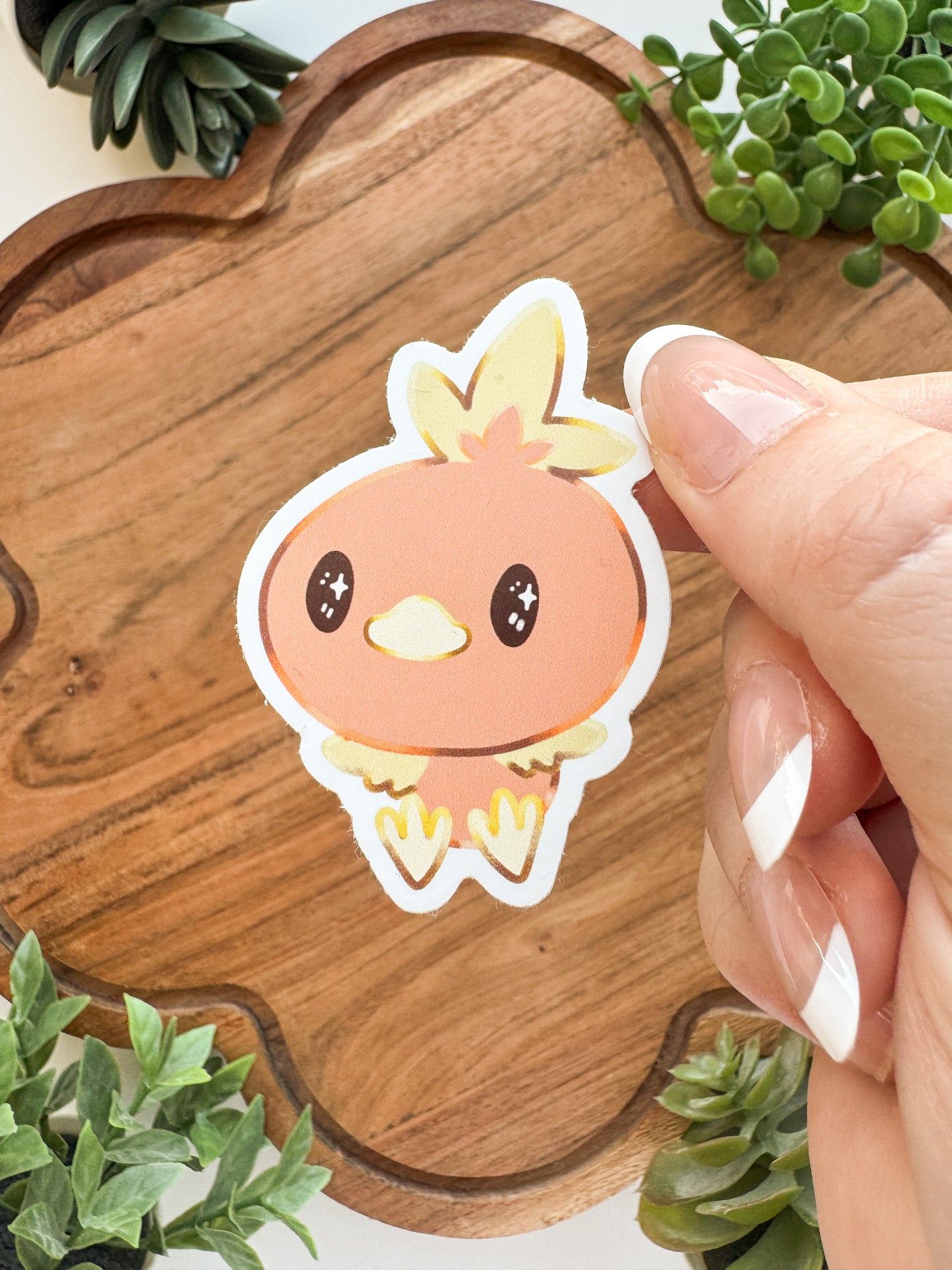 Startpokemon • [Pin]