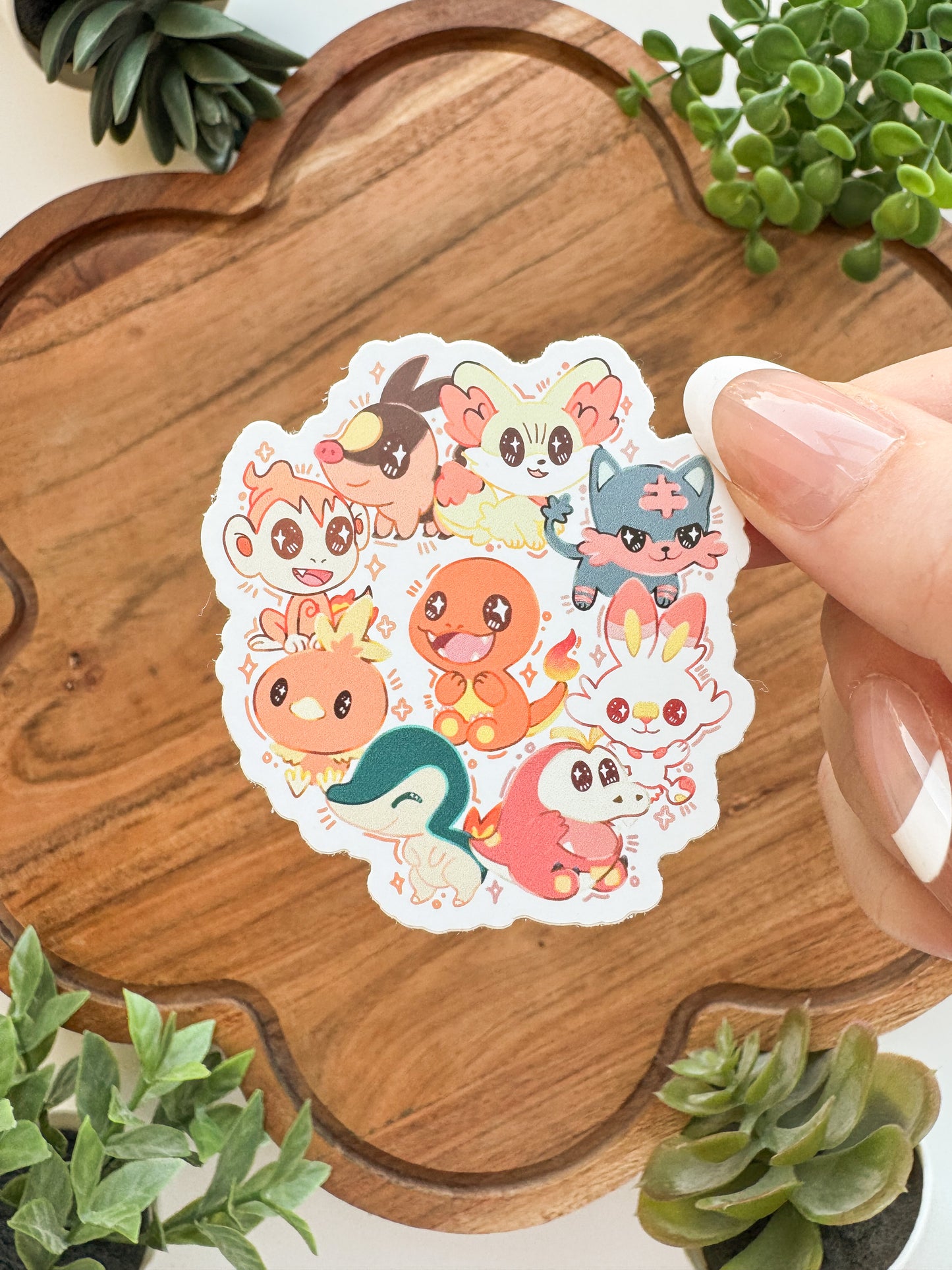 Startpokemon • [Pin]