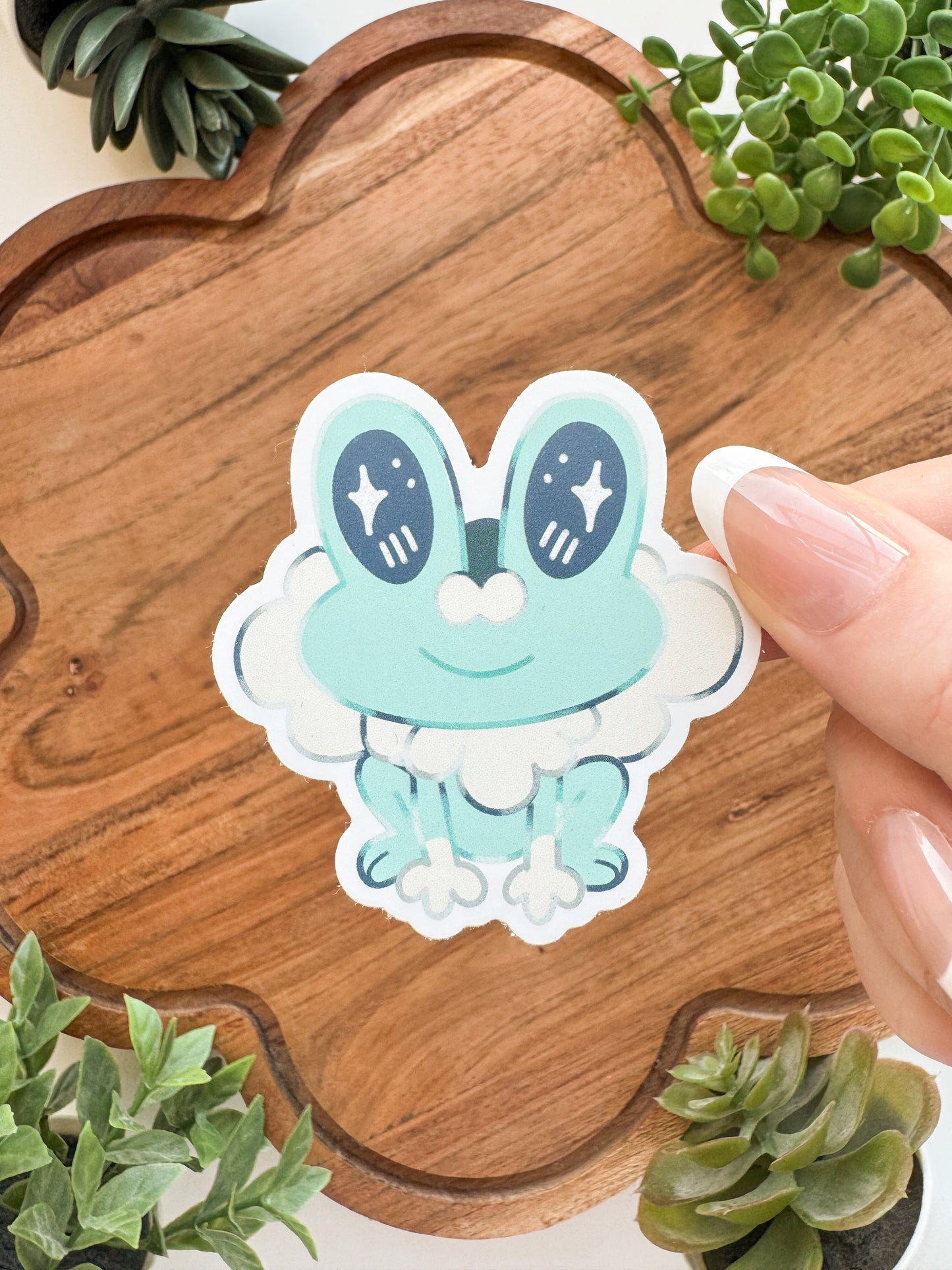 Startpokemon • [Pin]