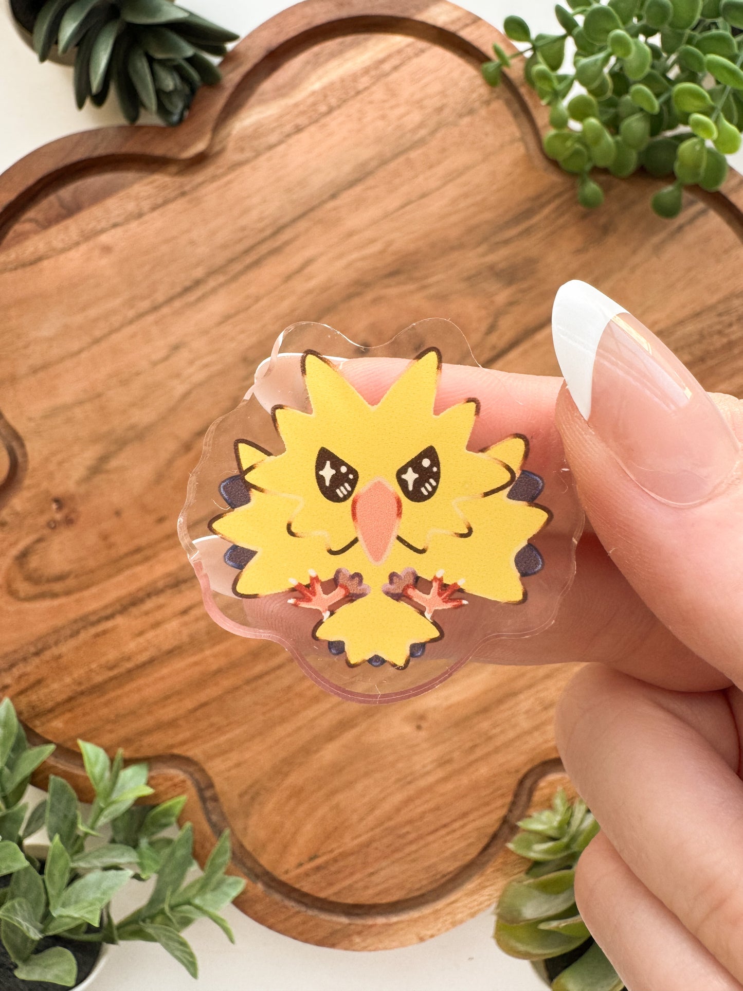 Startpokemon • [Pin]
