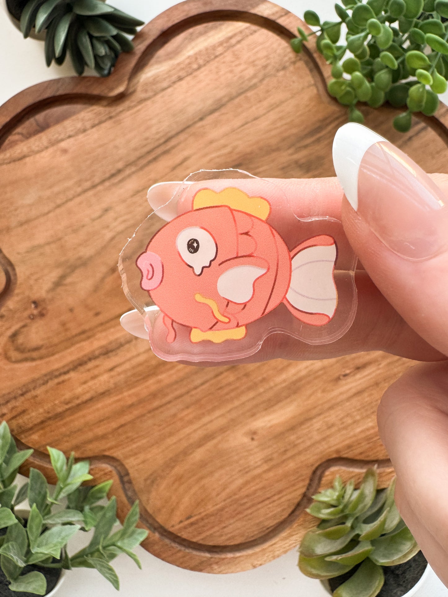 Startpokemon • [Pin]