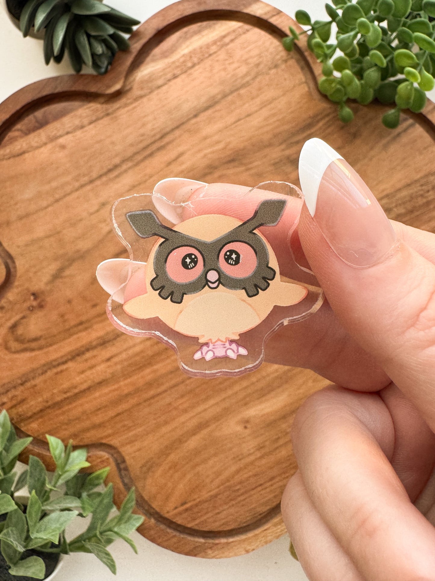 Startpokemon • [Pin]