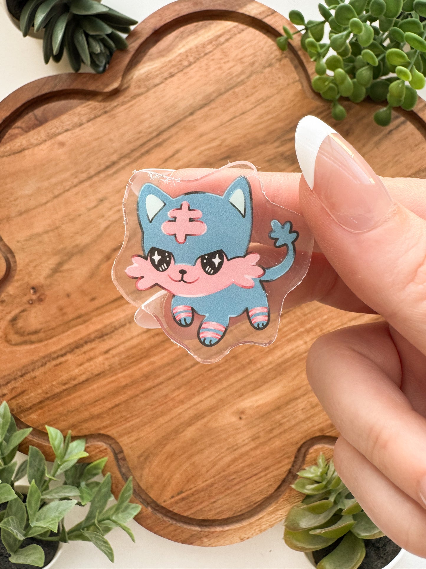 Startpokemon • [Pin]