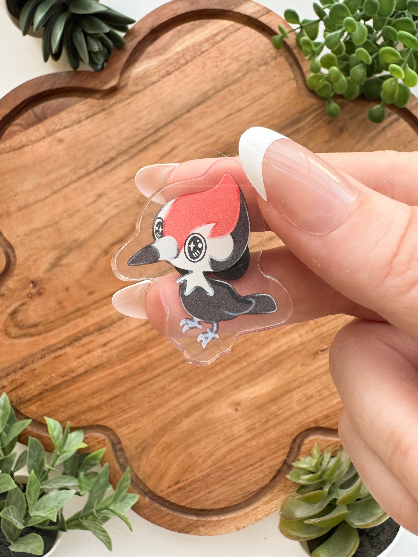 Startpokemon • [Pin]